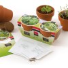 DUO DE POTS TERRE CUITE AVEC GRAINES À SEMER
