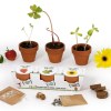 KIT DE PLANTATION TRIO DE POTS TERRE CUITE