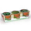 KIT DE PLANTATION TRIO DE POTS TERRE CUITE