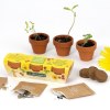 KIT DE PLANTATION TRIO DE POTS TERRE CUITE