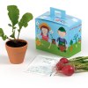 PETITE MALLETTE DE JARDINAGE AVEC POT ET GRAINES