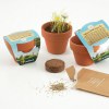 MINI KIT DE PLANTATION TERRE CUITE 45 MM