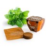 MINI KIT DE PLANTATION TERRE CUITE 45 MM