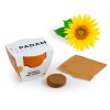 MINI KIT DE PLANTATION TERRE CUITE 45 MM