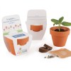 KIT DE CULTURE AVEC FRONTON POT TERRE CUITE