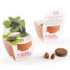 KIT DE CULTURE AVEC FRONTON POT TERRE CUITE