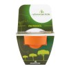 KIT TERRE CUITE 70 MM AVEC GRAINES