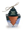 KIT DE PLANTATION REPLANTONS UN ARBRE 80 MM