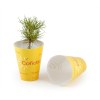 Petit arbre en pot biodégradable - Pin