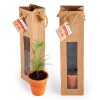 Petit arbre en pot terre et sac prestige - Pin