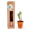 Petit arbre en pot terre et sac de jute - Laurier rose