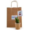 Cactus en pot gobelet carton - Cactus