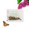 CARTE ÉCOLO À PERSONNALISER AVEC SACHET DE GRAINES
