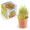 KIT DIY TETE A FAIRE POUSSER