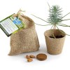 POCHON JUTE AVEC KIT DE CULTURE EN TOURBE