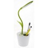 Lampe de bureau Flowerlight