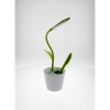 Lampe de bureau Flowerlight
