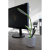 Lampe de bureau Flowerlight