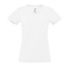 Tee-shirt femme col “v” - Imperial V WOMEN