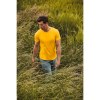 T-shirt homme Iconic-T