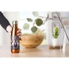 Gourde simple paroi de 650 ml en acier inoxydable Sumatra
