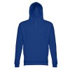 THC PHOENIX. Sweat (unisexe) avec capuche en coton et polyester