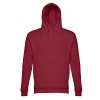 THC PHOENIX. Sweat (unisexe) avec capuche en coton et polyester