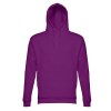 THC PHOENIX. Sweat (unisexe) avec capuche en coton et polyester