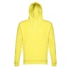 THC PHOENIX. Sweat (unisexe) avec capuche en coton et polyester