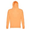 THC PHOENIX. Sweat (unisexe) avec capuche en coton et polyester