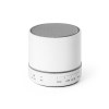 PEREY. Haut parleur portatif en ABS avec microphone