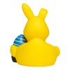 Canard fête