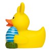 Canard fête