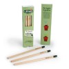 Coffret 3 crayons à graines couleur