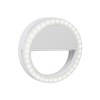 Ring Light REEVES-CALAFATE