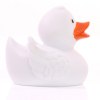 Canard uni
