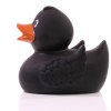 Canard uni