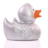 Canard uni