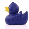 Canard uni