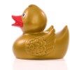 Canard uni