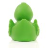 Canard uni