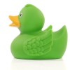 Canard uni