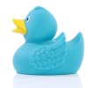 Canard uni