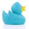 Canard uni