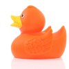 Canard uni
