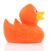 Canard uni