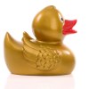 Canard uni