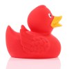 Canard uni