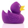 Canard uni