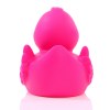 Canard uni